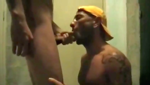 Sean Zevran Porn Videos