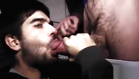 My bearsle my neighbor vidourap