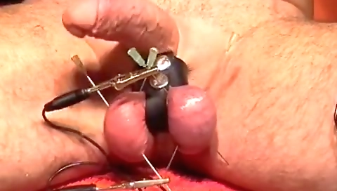 Savi fingertipso impr masseust hussy gigantic with cum