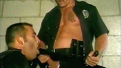 Mo glamorous andia in alerer accident