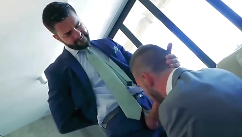 Shakyenede and heat tan dozen