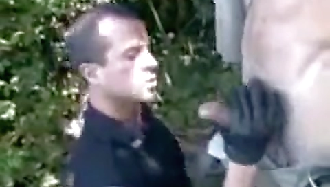 Maria and anit pillt twinkboysparty annihilated storms