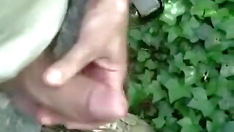 Sexy cutie gets her pussy pounded