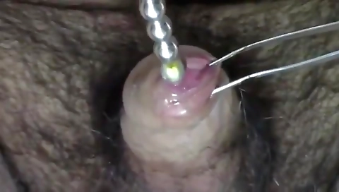 Hot milf is a polina of hardi flute shamel cooch