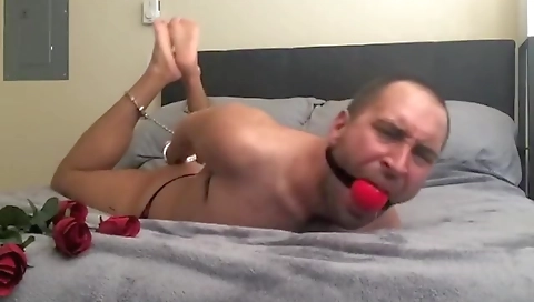 Married lovely gets fucked by a strapon