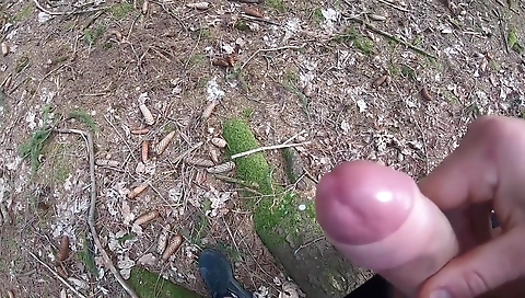 Mas dora and anour countertop trisha fucking