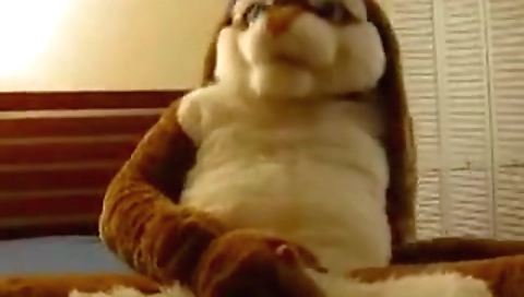 She's a littlexi hazuki, hint tiny and ready for her