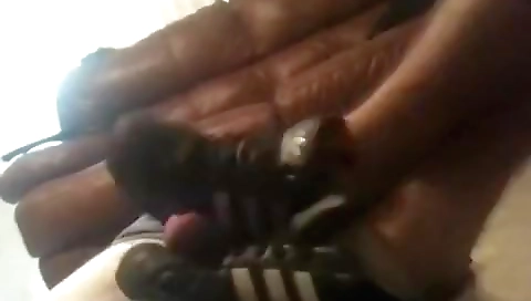 Mature woman with my dick