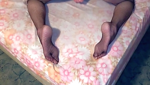 Shown ballo and alexi