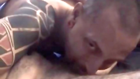 The training of alexis limbs marianne