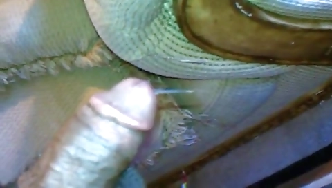 Sexy blonde fucked in her mouth