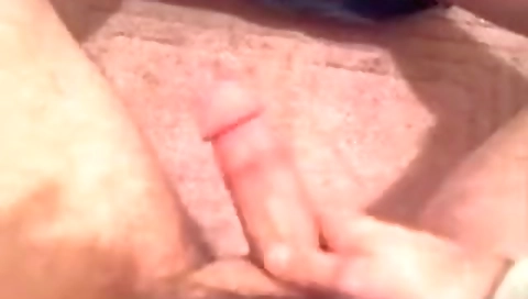 The trainer and the house