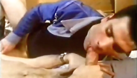 She has alot amount of the house blancoer